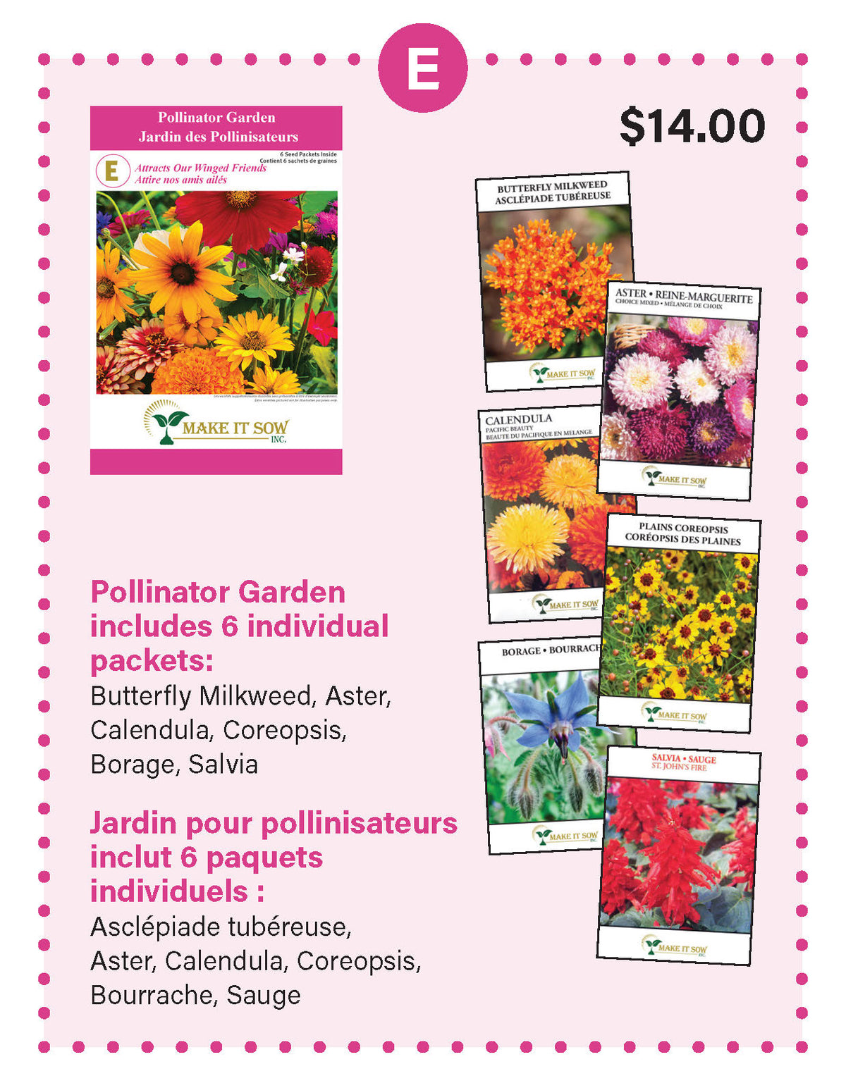 F: Jardin de pollinisateurs